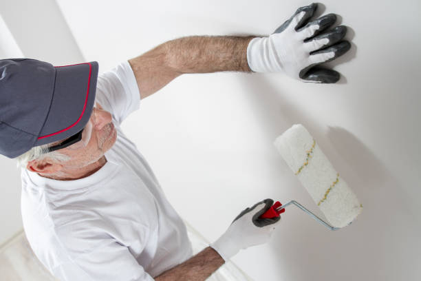 Best Airborne Mold Testing  in Mount Ida, AR