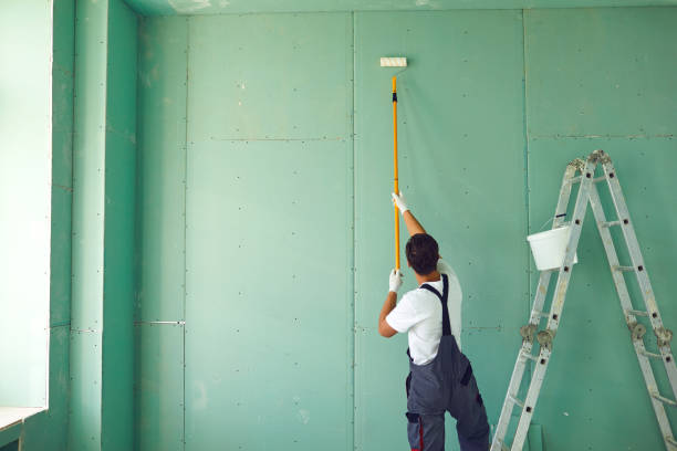 Best Biohazard Mold Removal  in Mount Ida, AR