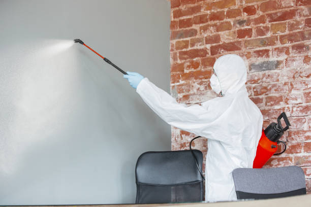 Best Comprehensive Air Testing for Mold Contaminants  in Mount Ida, AR