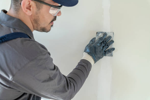 Best Dehumidification Services  in Mount Ida, AR