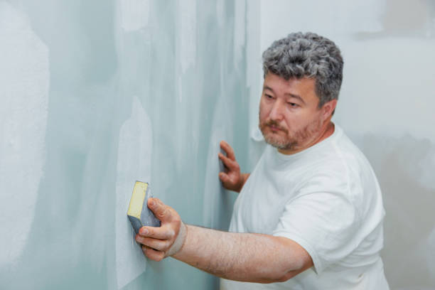 Best Emergency Mold Remediation  in Mount Ida, AR