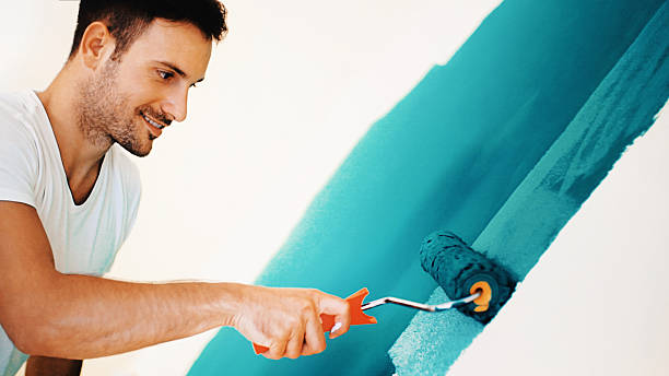 Environmental Consulting for Mold Prevention in Mount Ida, AR
