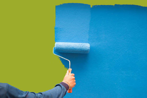 Trusted Mount Ida, AR Mold Removal Experts